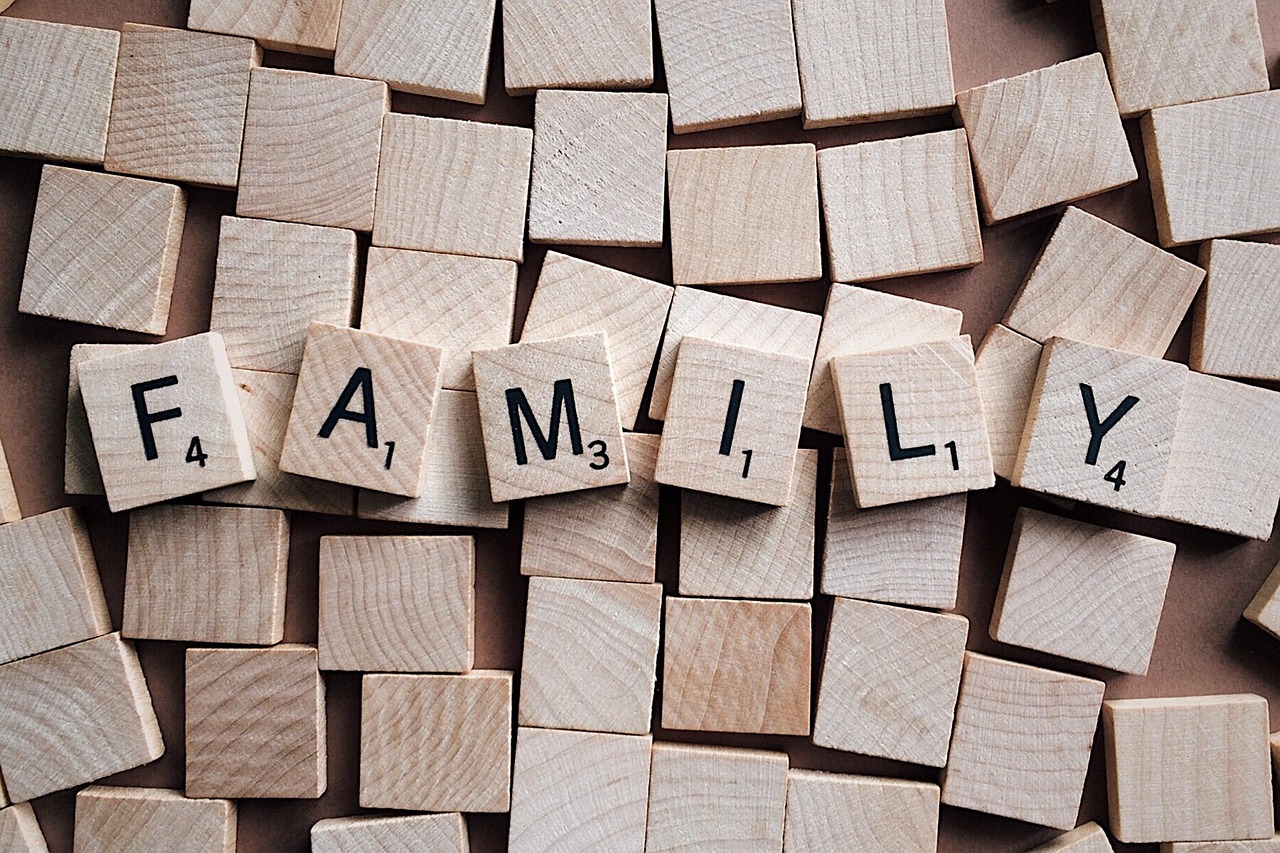 FamilyLAB - Bosna i Hercegovina